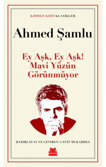 Ey Aşk, Ey Aşk! Mavi Yüzün Görünmüyor