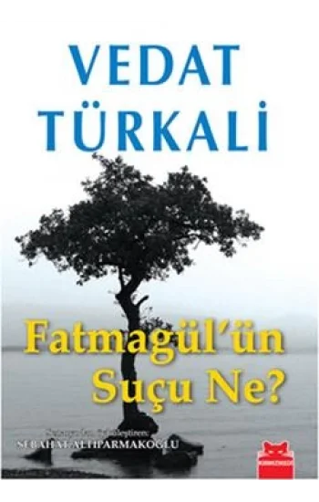 Fatmagülün Suçu Ne?