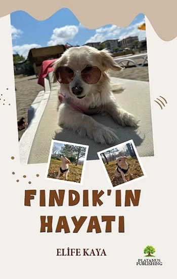 Fındıkın Hayatı