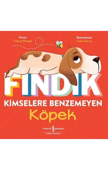 Fındık Kimselere Benzemeyen Köpek
