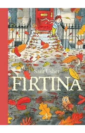 Fırtına
