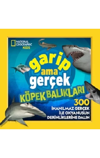 Garip Ama Gerçek Köpek Balıkları