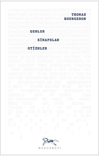 Genler, Sinapslar, Otizmler