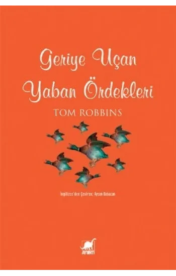 Geriye Uçan Yaban Ördekleri