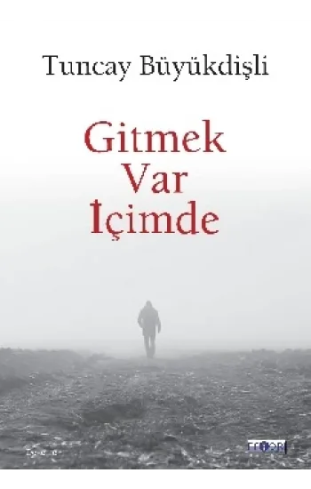 Gitmek Var İçimde