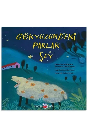 Gökyüzündeki Parlak Şey