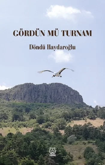 Gördün mü Turnam