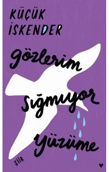 Gözlerim Sığmıyor Yüzüme (Ciltli)