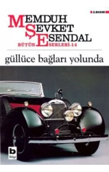 Güllüce Bağları Yolunda