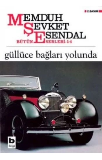 Güllüce Bağları Yolunda