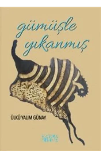 Gümüşle Yıkanmış