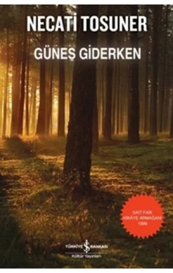 Güneş Giderken