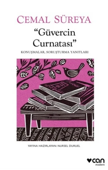 Güvercin Curnatası: Konuşmalar, Soruşturma Yanıtları