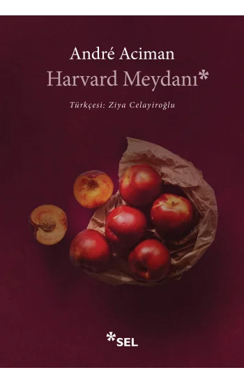 Harvard Meydanı