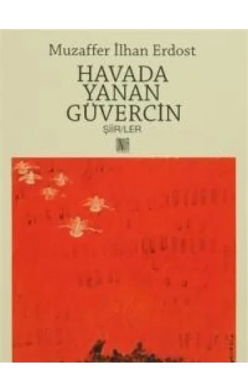 Havada Yanan Güvercin