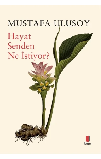Hayat Senden Ne İstiyor?