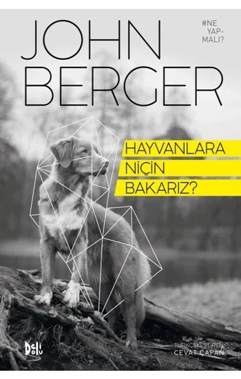 Hayvanlara Niçin Bakarız?