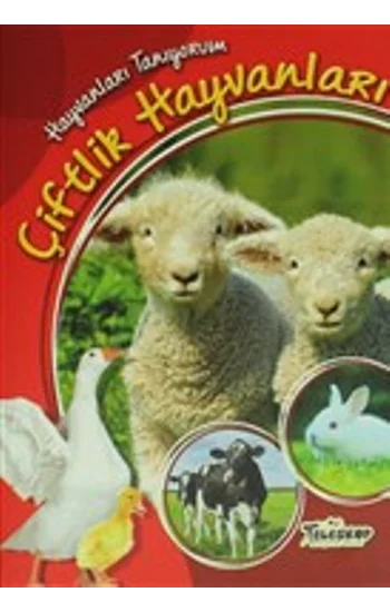 Hayvanları Tanıyorum - Çiftlik Hayvanları
