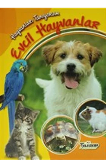 Hayvanları Tanıyorum - Evcil Hayvanlar
