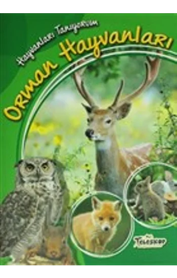 Hayvanları Tanıyorum - Orman Hayvanları