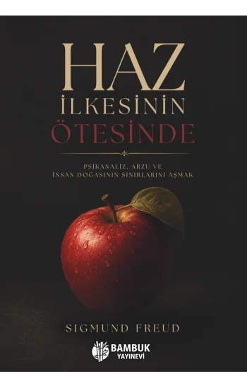 Haz İlkesinin Ötesinde