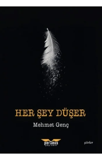 Her Şey Düşer