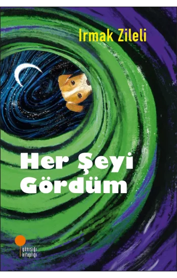 Her Şeyi Gördüm