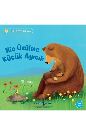 Hiç Üzülme Küçük Ayıcık - İlk Kitaplarım