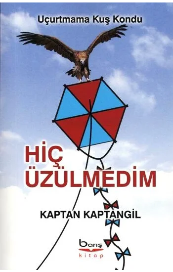 Hiç Üzülmedim