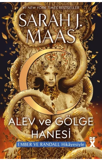 Hilal Şehir 3: Alev ve Gölge Hanesi