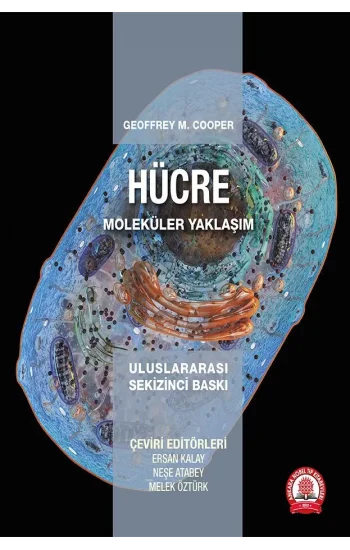 Hücre Moleküler Yaklaşım