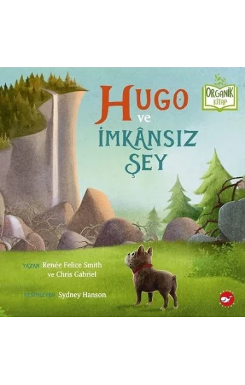 Hugo ve İmkansız Şey