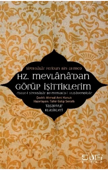 Hz. Mevlanadan Görüp İşittiklerim
