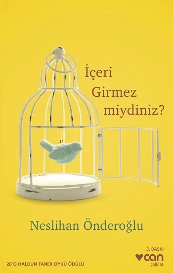 İçeri Girmez miydiniz ?