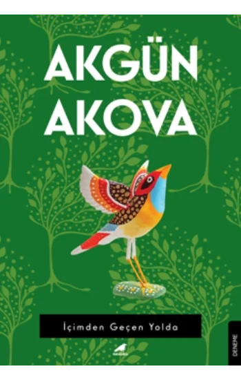 İçimden Geçen Yolda