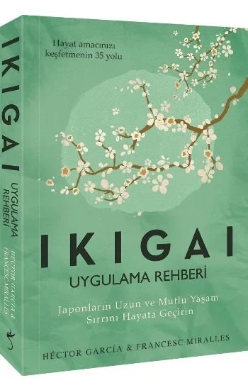 Ikigai - Uygulama Rehberi