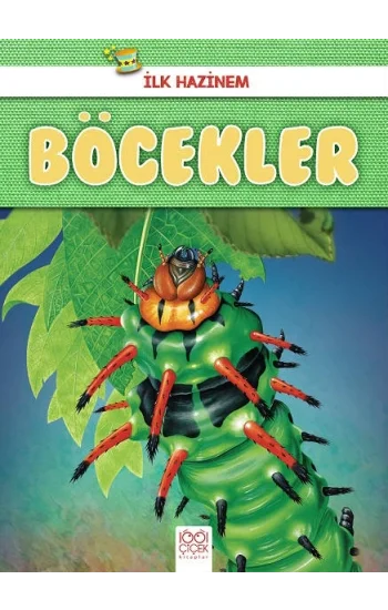 İlk Hazinem - Böcekler