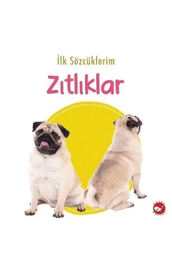 İlk Sözcüklerim - Zıtlıklar
