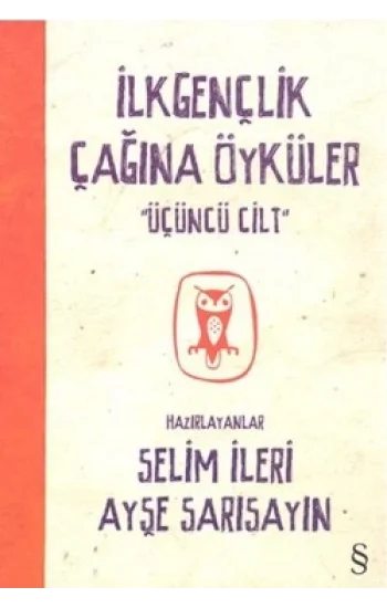 İlkgençlik Çağına Öyküler 3. Cilt