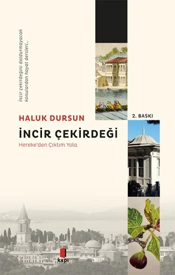 İncir Çekirdeği