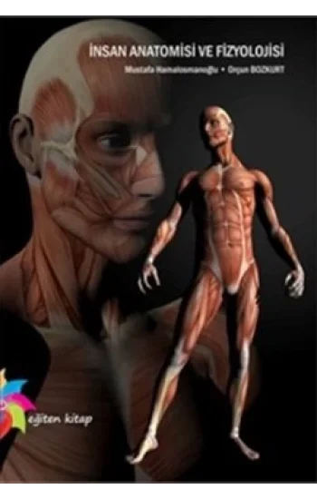 İnsan Anatomisi ve Fizyolojisi