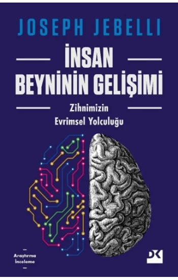 İnsan Beyninin Gelişimi