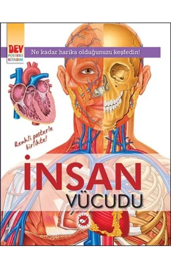 İnsan Vücudu