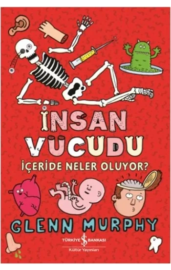 İnsan Vücudu