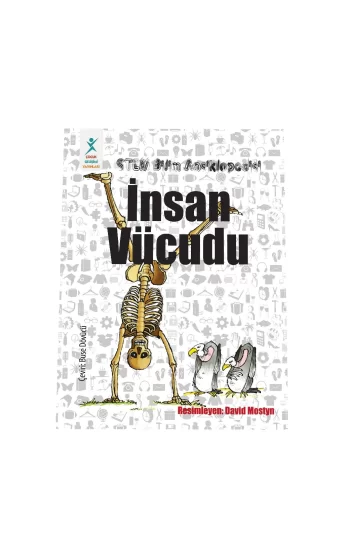 İnsan Vücudu