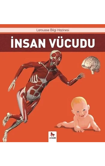 İnsan Vücudu