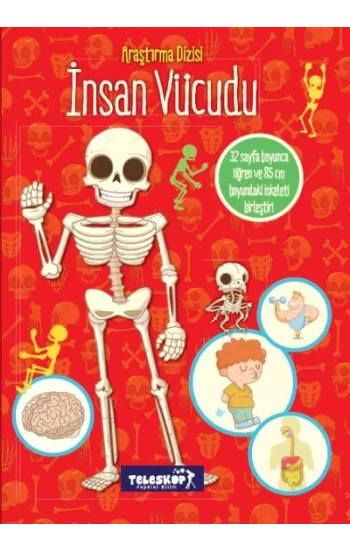 İnsan Vücudu - Araştırma Dizisi