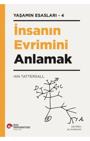 İnsanın Evrimini Anlamak