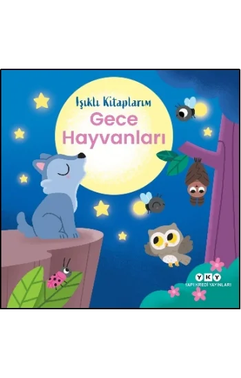 Işıklı Kitaplarım: Gece Hayvanları