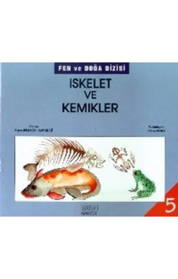 İskelet ve Kemikler